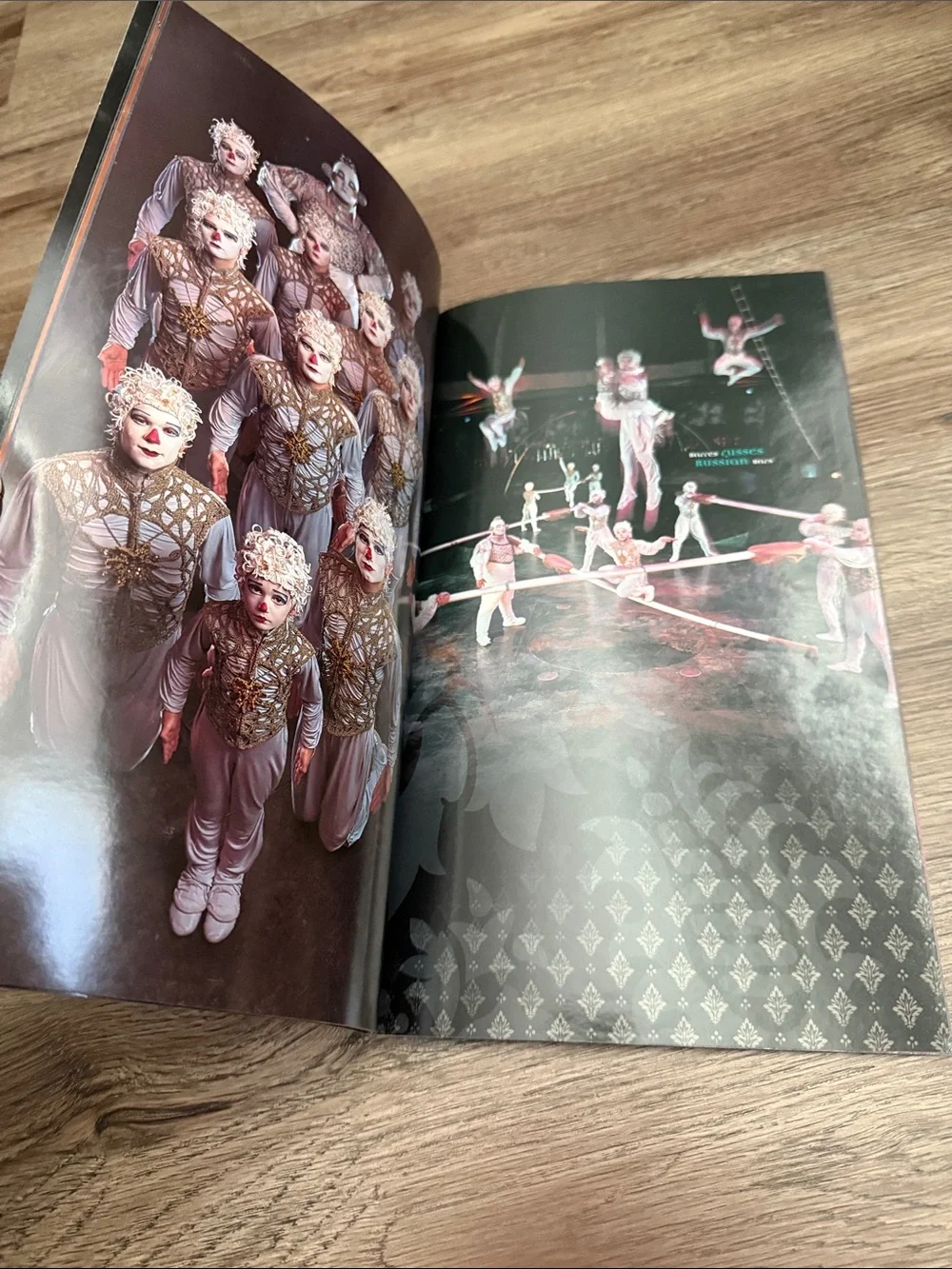Vintage Cirque du Soleil ALEGRÍA Official Tour Program Book (1994)